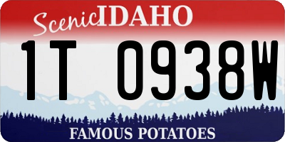 ID license plate 1T0938W