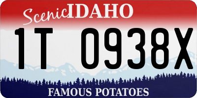 ID license plate 1T0938X