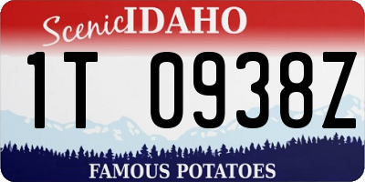ID license plate 1T0938Z