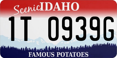 ID license plate 1T0939G