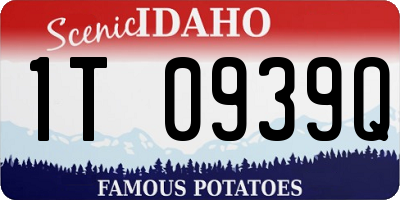 ID license plate 1T0939Q