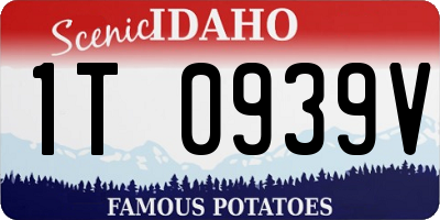 ID license plate 1T0939V