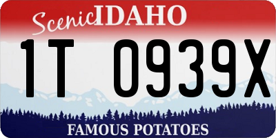 ID license plate 1T0939X