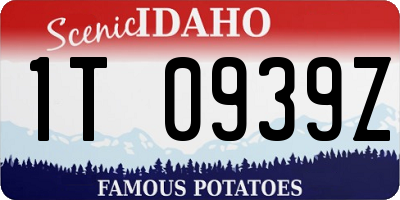 ID license plate 1T0939Z