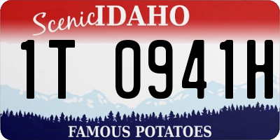 ID license plate 1T0941H