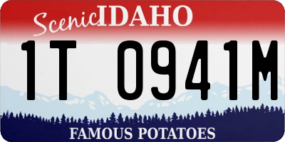 ID license plate 1T0941M