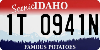 ID license plate 1T0941N