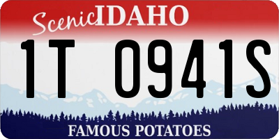ID license plate 1T0941S