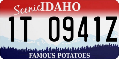 ID license plate 1T0941Z