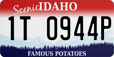 ID license plate 1T0944P