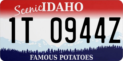 ID license plate 1T0944Z