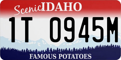 ID license plate 1T0945M