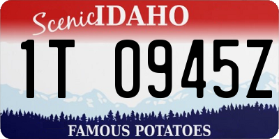 ID license plate 1T0945Z