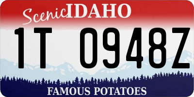 ID license plate 1T0948Z