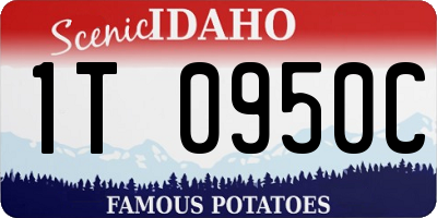 ID license plate 1T0950C