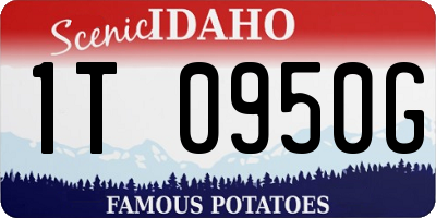 ID license plate 1T0950G