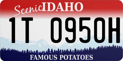 ID license plate 1T0950H