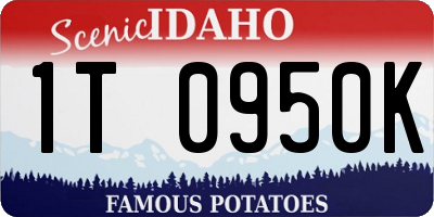 ID license plate 1T0950K