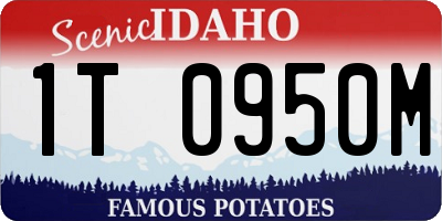 ID license plate 1T0950M