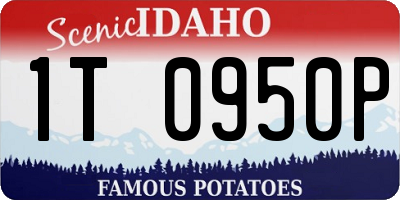 ID license plate 1T0950P