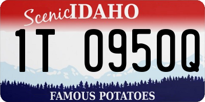 ID license plate 1T0950Q