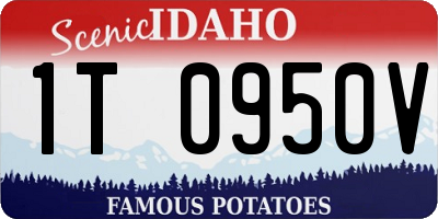 ID license plate 1T0950V