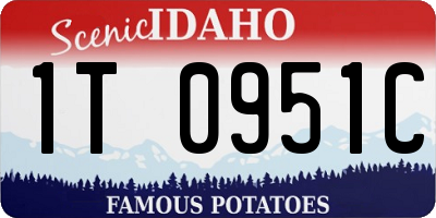 ID license plate 1T0951C