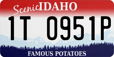 ID license plate 1T0951P