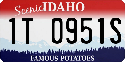 ID license plate 1T0951S