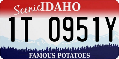 ID license plate 1T0951Y