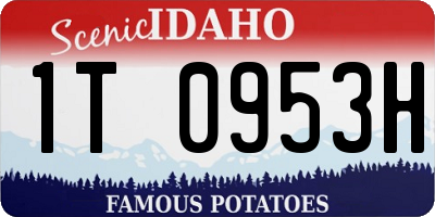 ID license plate 1T0953H
