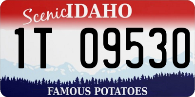 ID license plate 1T0953O