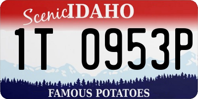 ID license plate 1T0953P