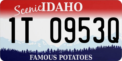 ID license plate 1T0953Q