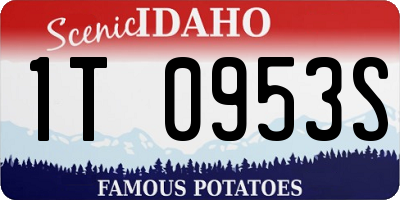 ID license plate 1T0953S