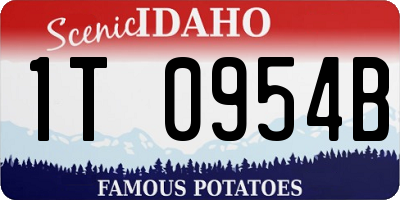 ID license plate 1T0954B