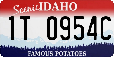 ID license plate 1T0954C