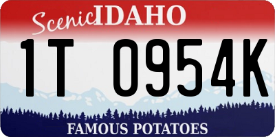 ID license plate 1T0954K