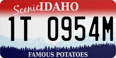 ID license plate 1T0954M