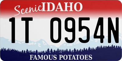 ID license plate 1T0954N