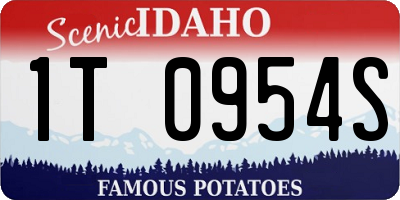 ID license plate 1T0954S