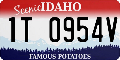 ID license plate 1T0954V