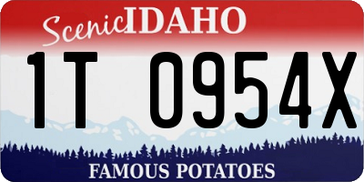 ID license plate 1T0954X