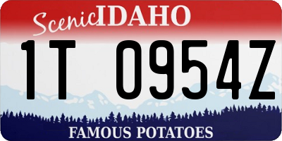 ID license plate 1T0954Z