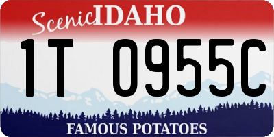 ID license plate 1T0955C