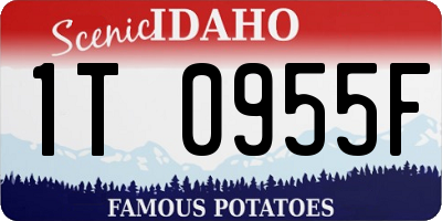 ID license plate 1T0955F