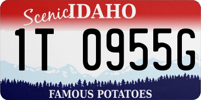 ID license plate 1T0955G