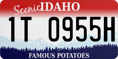ID license plate 1T0955H