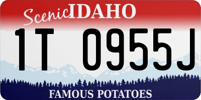 ID license plate 1T0955J