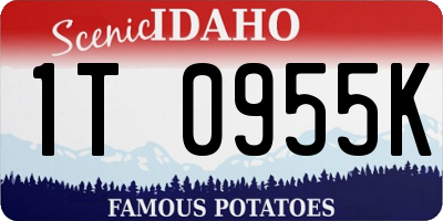 ID license plate 1T0955K